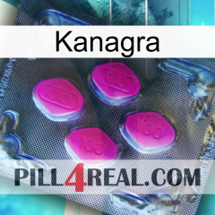 Kanagra 02